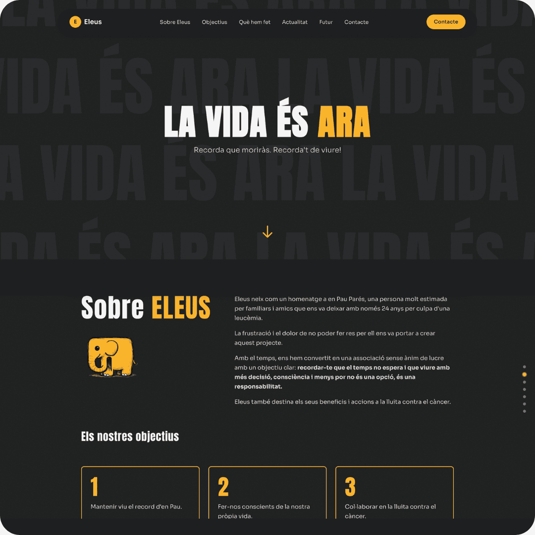 Exemple de web creada per Kodia